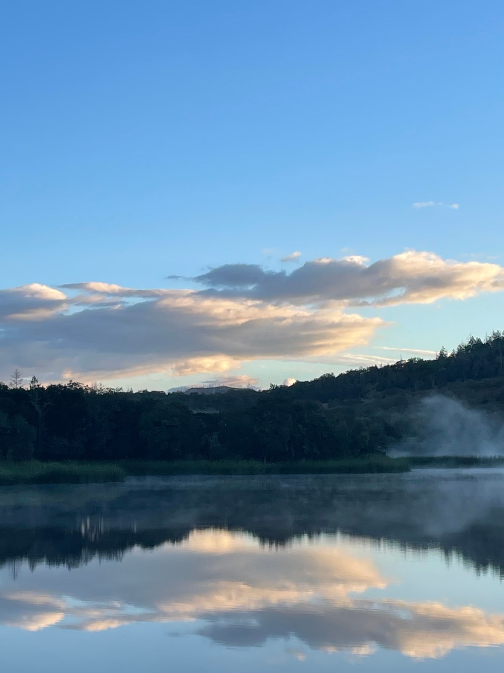 Training Newsletter, (Week&nbsp;7)