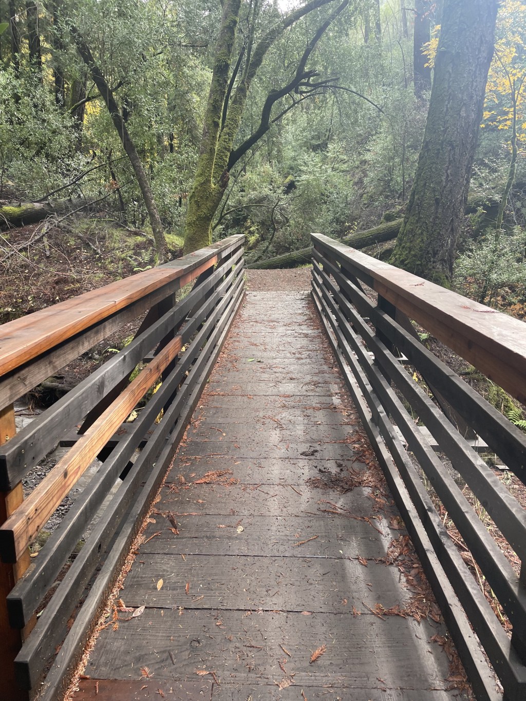 Ascend Trail Maps: Sugarloaf&nbsp;Ridge