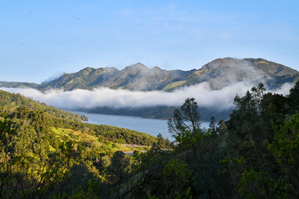 Training Newsletter, (Week&nbsp;10)