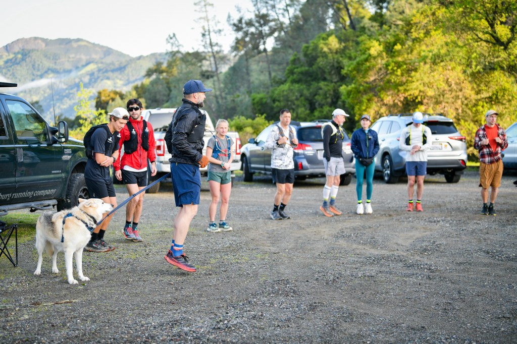 Training Newsletter, (Week&nbsp;2)